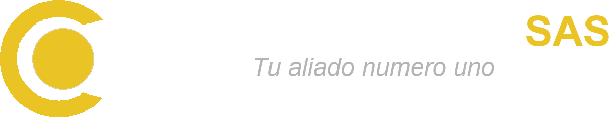 One Consulting SAS
